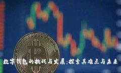 数字钱包的挑战与发展：探索其难点与未来