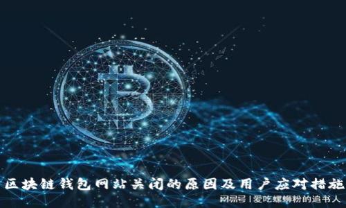 区块链钱包网站关闭的原因及用户应对措施