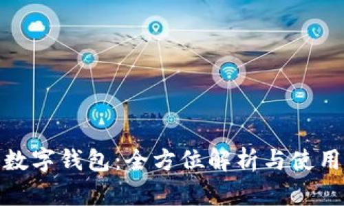 建行数字钱包：全方位解析与使用技巧