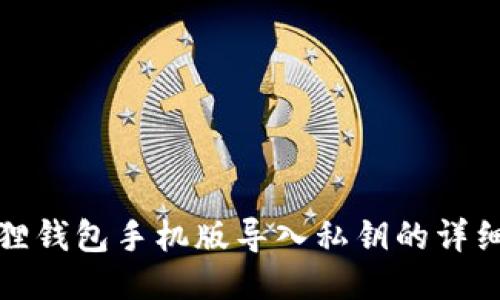 小狐狸钱包手机版导入私钥的详细教程