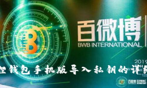 小狐狸钱包手机版导入私钥的详细教程