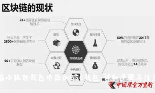 如何在小狐狸钱包中添加BSC钱包：详细步骤与注意事项