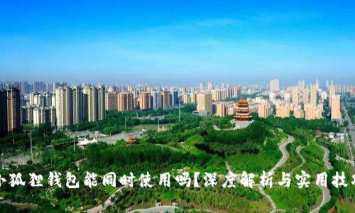 小狐狸钱包能同时使用吗？深度解析与实用技巧