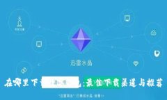 在哪里下载数字钱包：最佳下载渠道与推荐