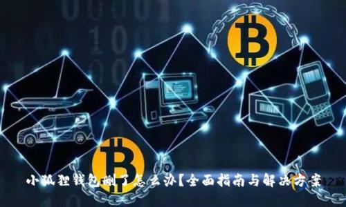 小狐狸钱包删了怎么办？全面指南与解决方案