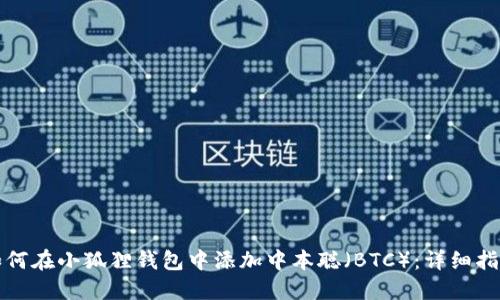 如何在小狐狸钱包中添加中本聪（BTC）：详细指南