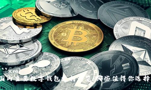 ```xml
国内主要数字钱包支持一览:哪些值得你选择?