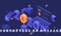 全面解析数字钱包生态：现状、挑战与未来发展