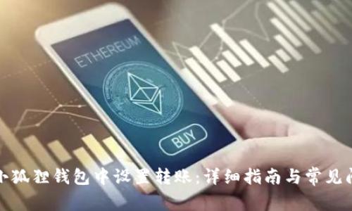 如何在小狐狸钱包中设置转账：详细指南与常见问题解答