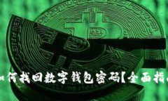 如何找回数字钱包密码？全面指南