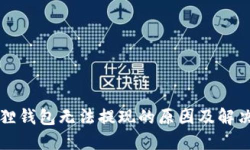 小狐狸钱包无法提现的原因及解决方法