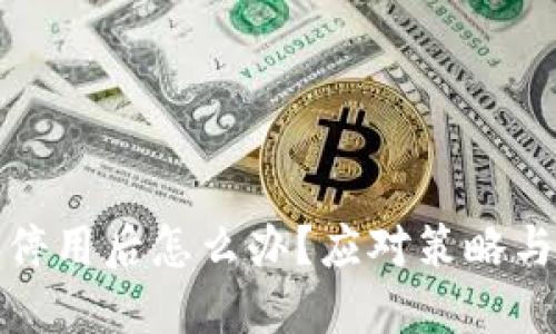 数字钱包机构停用后怎么办？应对策略与优质选择指南