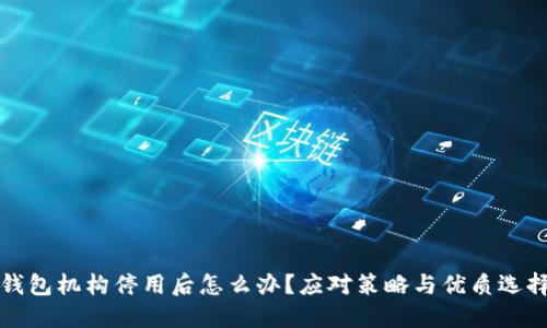 数字钱包机构停用后怎么办？应对策略与优质选择指南