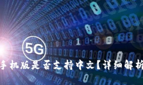 MetaMask手机版是否支持中文？详细解析及使用指南