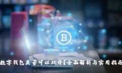 数字钱包是否可以双开？全面解析与实用指南