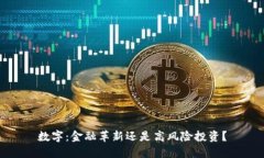 数字：金融革新还是高风险投资？