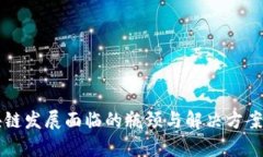 区块链发展面临的瓶颈与解决方案分析